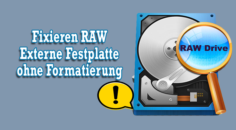 Reparatur RAW externe Festplatte ohne Datenverlust