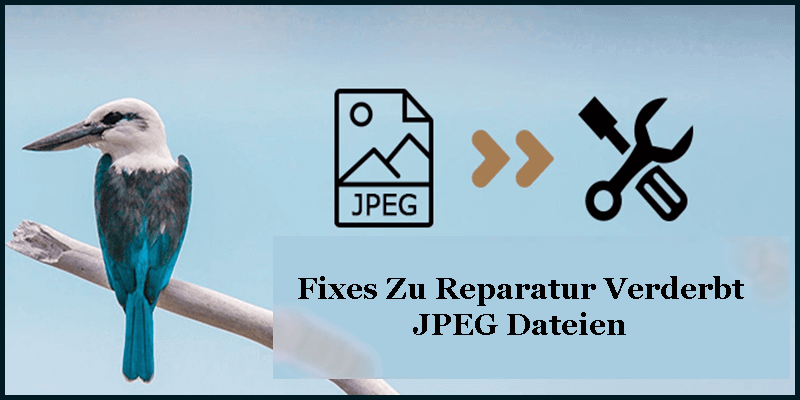 Reparatur Beschädigt JPEG Dateien