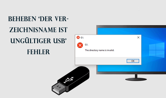 Der Verzeichnisname ist ungültiger USB