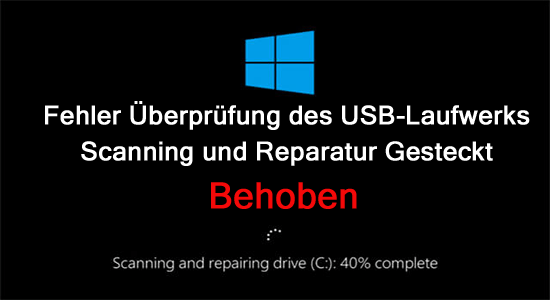 Fehler Überprüfung des USB-Laufwerks Scanning und Reparatur Gesteckt