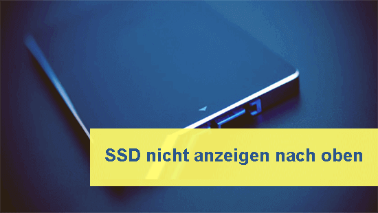 SSD wird nicht angezeigt in Datenträger verwaltung