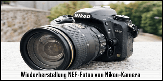 Wiederherstellung NEF-Fotos von Nikon-Kamera