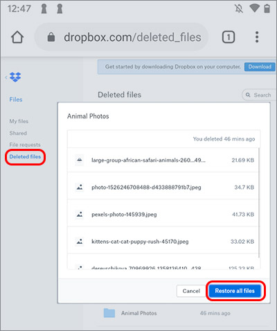 Gelöschte B612-App-Fotos aus Dropbox